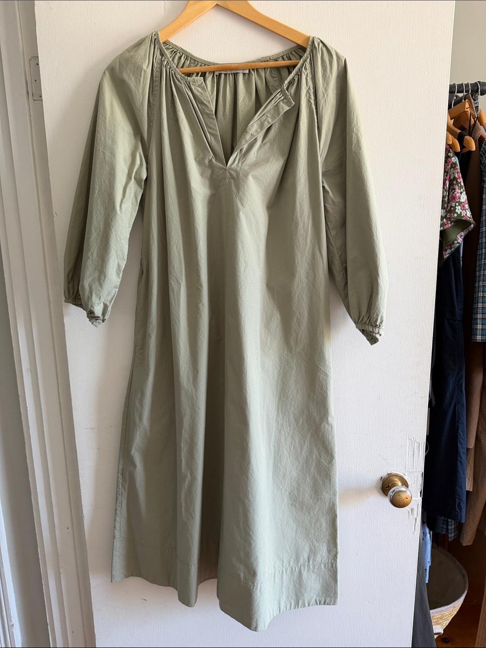 EVERLANE Light Sage 100% cotton Women's Midi Dress